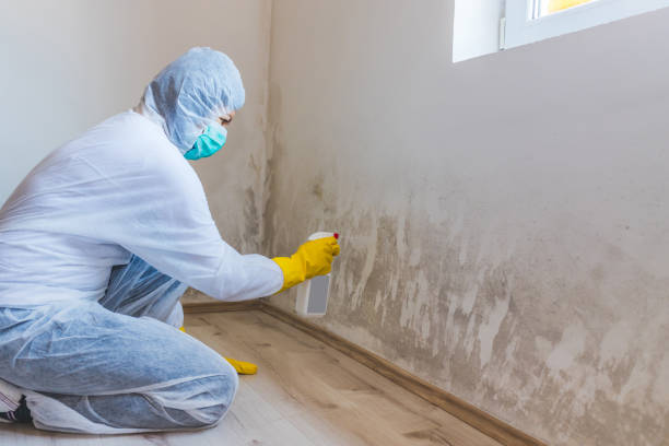 Mold Remediation specialist working in Kitzmiller