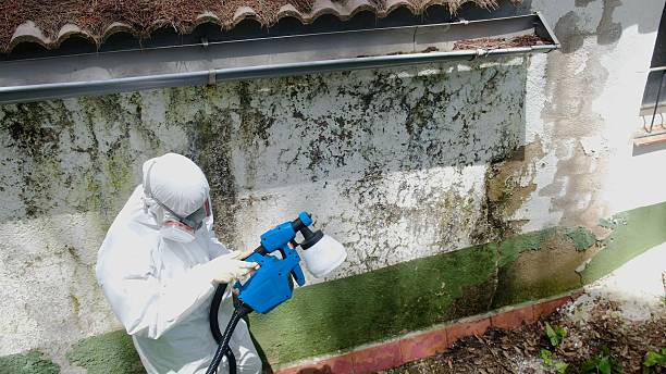 Clearance testing in Kitzmiller